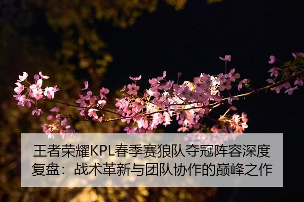 王者荣耀KPL春季赛狼队夺冠阵容深度复盘：战术革新与团队协作的巅峰之作
