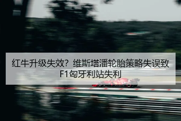hong-niu-sheng-ji-shi-xiao-wei-si-ta-pan-lun-tai-ce-lve-shi-wu-zhi-xiong-ya-li-zhan-shi-li-2-764.jpg