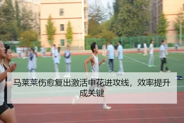 马莱莱伤愈复出激活申花进攻线，效率提升成关键